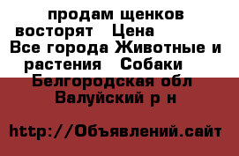продам щенков восторят › Цена ­ 7 000 - Все города Животные и растения » Собаки   . Белгородская обл.,Валуйский р-н